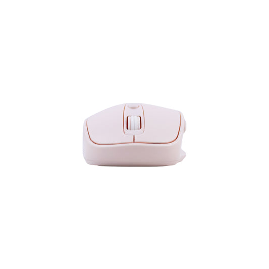 MOUSE STD WIRELESS TE1234 PK