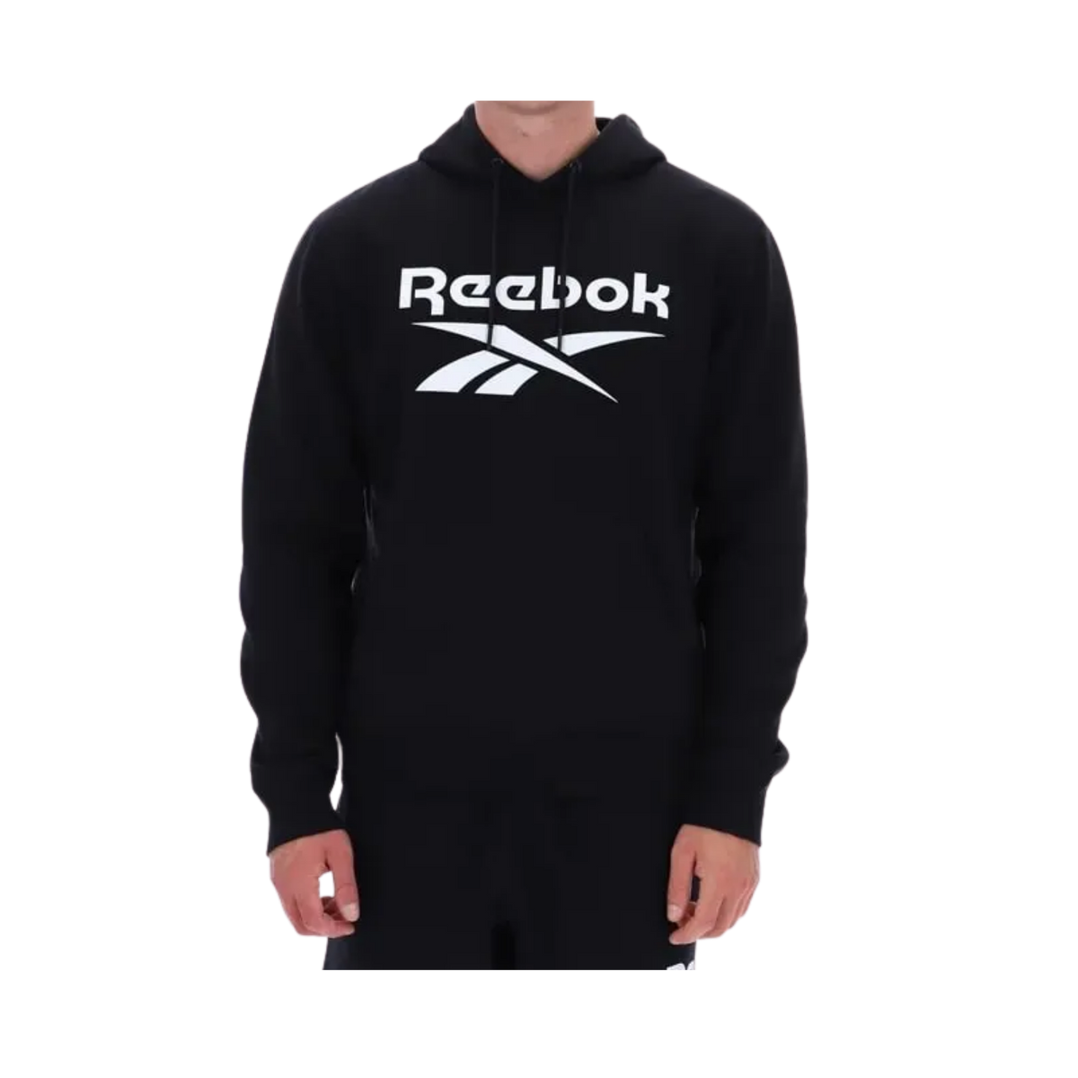 VICTOR BIG LOGO  PULLOVER HOODY - 100240555