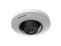 Hik DS-2CD2955G0-ISU 5MP Fixed Fisheye Network Camera
