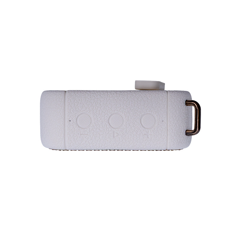 Parlante Inalámbrico TEROS Legacy Leg-6051BG, BT 5.3, 8W, 1500 mAh, USB