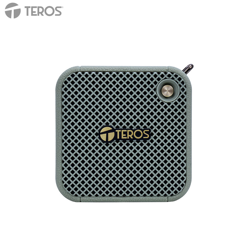 Parlante Inalámbrico TEROS Legacy Leg-6051GR, BT 5.3, 8W, 1500 mAh, USB