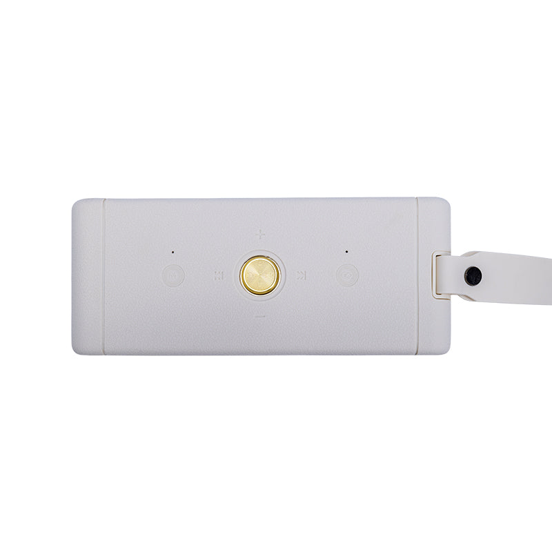 Parlante Inalámbrico TEROS Legacy Leg-6052BG, BT 5.3, 40W, 4000mAh, USB