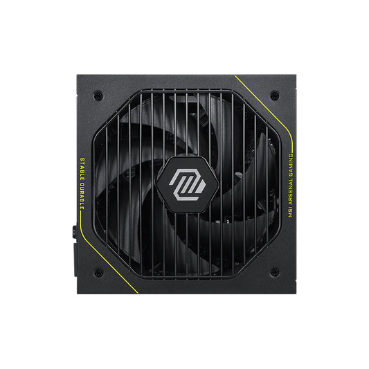 PS MS A1200PLS PCIE5 80+P