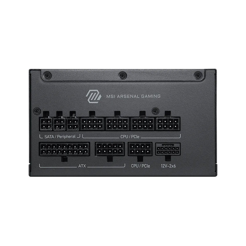 PS MS A1200PLS PCIE5 80+P