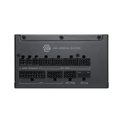 PS MS A1200PLS PCIE5 80+P