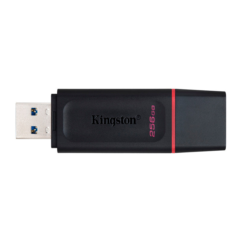 USB KINGSTON DTX/256GB 3.2