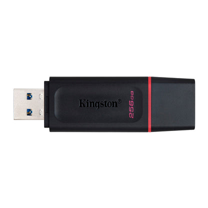 USB KINGSTON DTX/256GB 3.2