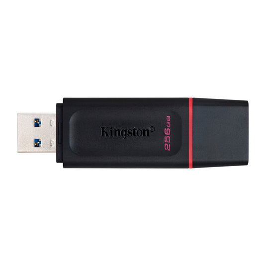 USB KINGSTON DTX/256GB 3.2