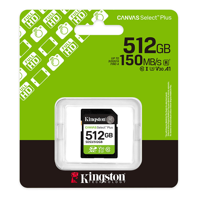 SD KING CANVAS SELECT + 512GB