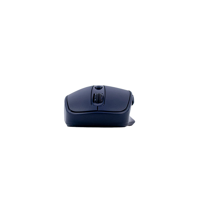 MOUSE STD WIRELESS TE1235 BL
